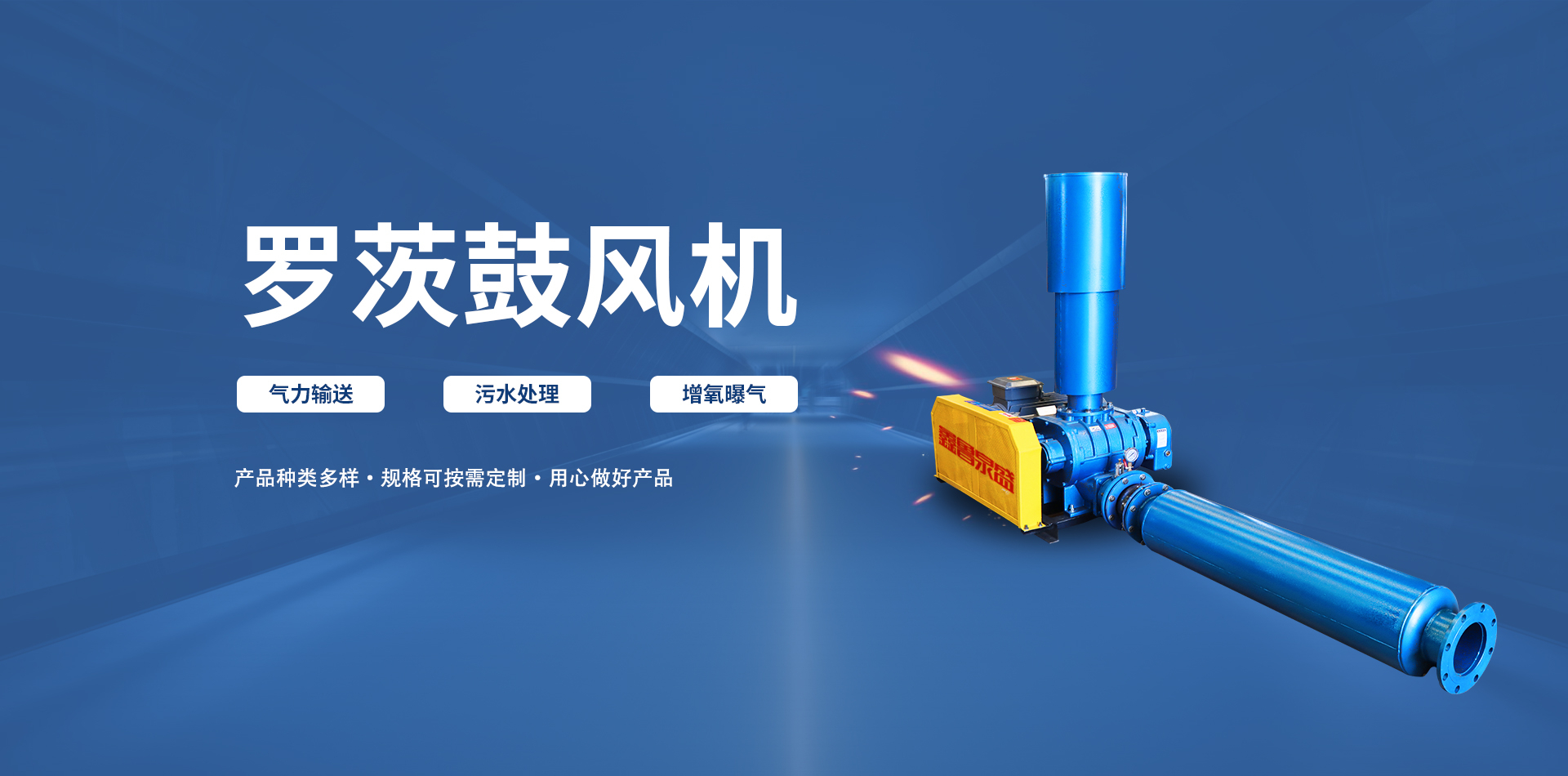 罗茨星空（中国）